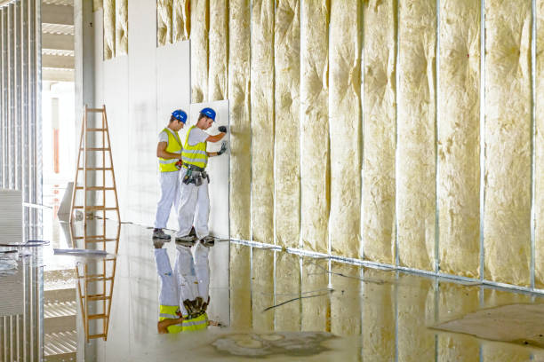 Best Cellulose Insulation in Baytown, TX